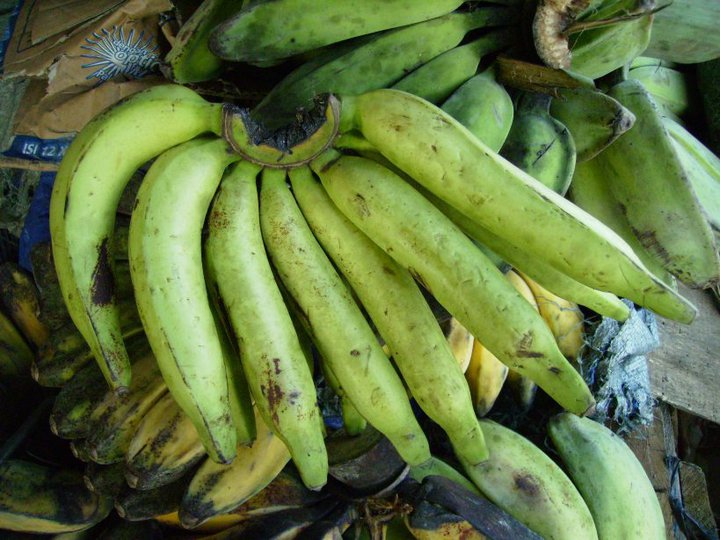 buah pisang rotan
