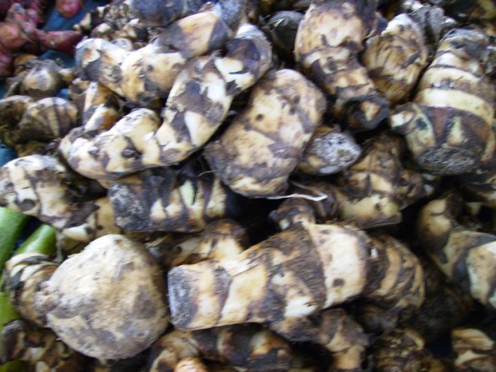 About me Pulang Kampung Muntok Bangka